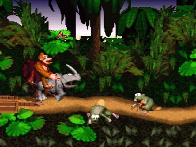 Donkey Kong Country