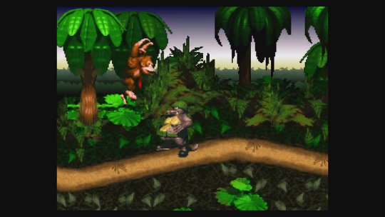 Donkey Kong Country