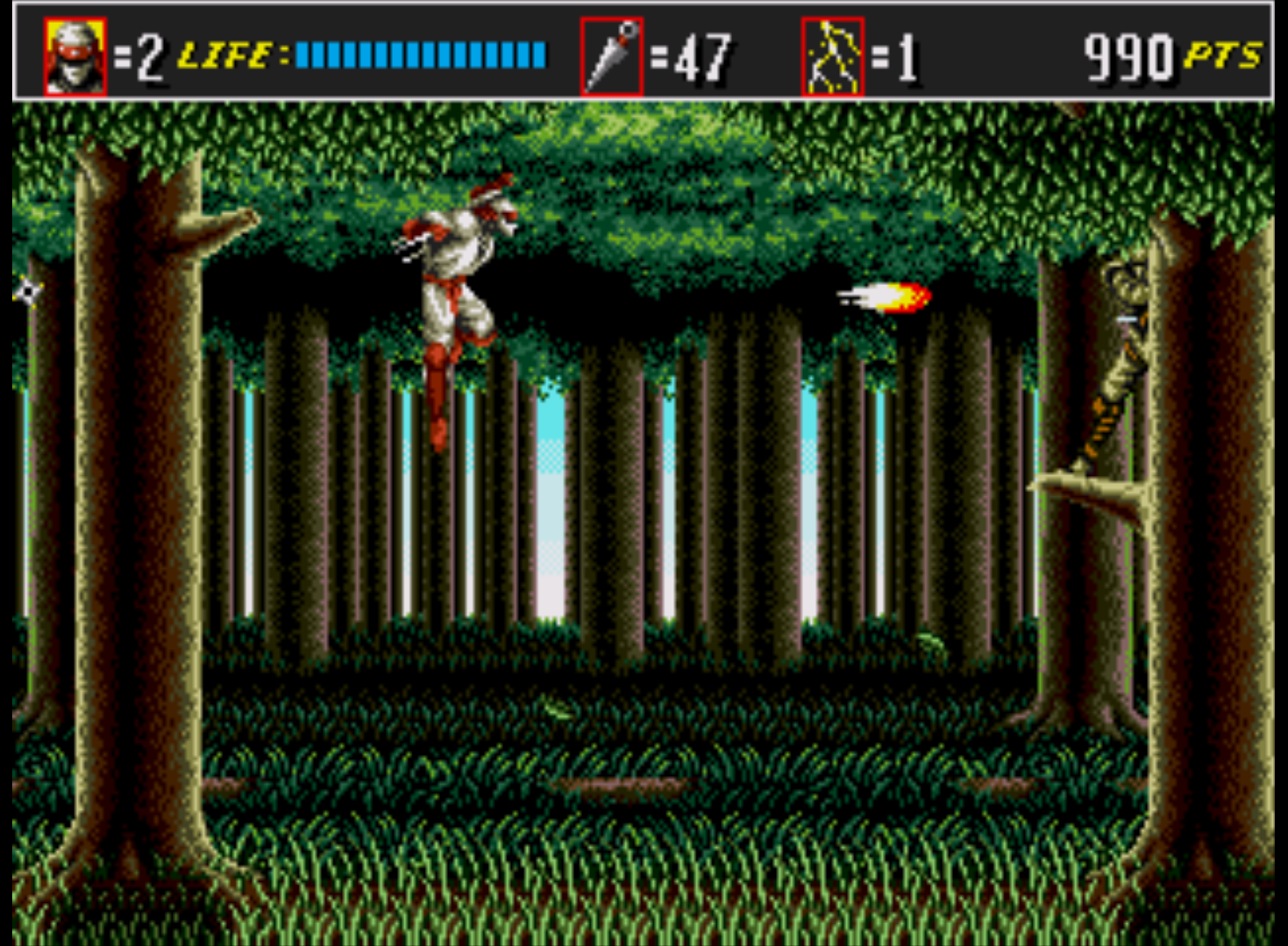 Fighting An Enemy Ninja In Shinobi III